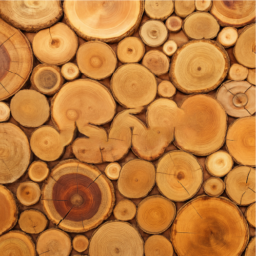 Picture for category woody